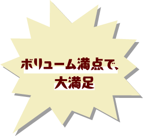 ボリューム満点で、大満足