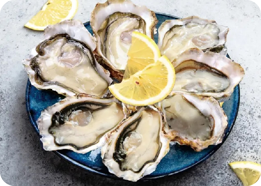 【生食用】殻付かきのイメージ写真